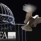 La imagen 5 de la Empresa ABOGADOS PENALISTAS ESPARZA Y ASOCIADOS Servicios Legales y Financieros en Ciudad De México CMX
