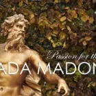 La imagen 1 de la Empresa AMADA MADONNA Venta y Renta de Trajes y Vestidos en San Pedro Garza García NLE