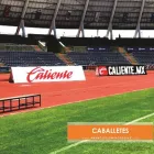 La imagen 9 de la Empresa ANUNCIOS LUMINOSOS PUEBLA ALP Servicios Profesionales y de Negocios en Puebla MEX