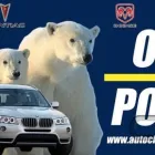 La imagen 1 de la Empresa AUTOCLIMAS OSO POLAR Refacciones y Accesorios para Automóviles y Camiones en Veracruz VER