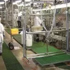 La imagen 3 de la Empresa BÁSICA LIMPIEZA MULTISERVICIOS en Tonalá JAL