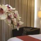 La imagen 5 de la Empresa BEST WESTERN HOTEL POZA RICA Transportes y Turismo en Poza Rica VER