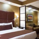 La imagen 30 de la Empresa BEST WESTERN PREMIER MONTERREY AEROPUERTO Transportes y Turismo en Apodaca NLE