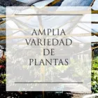 La imagen 2 de la Empresa BIOSISTEMAS ORGÁNICOS VIVERO LA FLORESTA Industrias y Agricultura en Queretaro QUE
