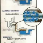 La imagen 1 de la Empresa BIOTEC DE MEXICO-PRODUCTOS BIOLOGICOS PARA LIMPIEZA ( BACTERIAS Y ENZIMAS) Venta y Alquiler de Artículos de Hostelería en Nuevo Laredo TAM