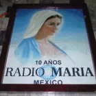 La imagen 2 de la Empresa BLAEU MOSAIC Servicios Profesionales y de Negocios en Tlaquepaque JAL