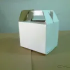 La imagen 4 de la Empresa BOLSAS DE PAPEL Venta de Ropa y Accesorios en Mérida YUC