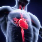 La imagen 3 de la Empresa CARDIO STUDIO MOTU CORDIS Salud y Medicina en Uruapan MIC