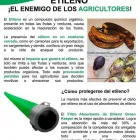 La imagen 1 de la Empresa CARGODEPOT Transportes y Turismo en Tampico TAM