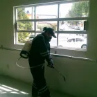 La imagen 11 de la Empresa CASTCONTROL, MANEJO INTEGRADO DE PLAGAS Servicios Profesionales y de Negocios en Ciudad Adolfo López Mateos MEX