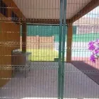 La imagen 3 de la Empresa CERCOS DE MALLA. DE LUX Inmobiliaria y Reformas en Toluca MEX