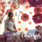 La imagen 1 de la Empresa CHULERIAS Servicios Profesionales y de Negocios en Torreón COA