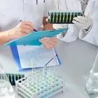 La imagen 2 de la Empresa CLÍNICA LAS AMÉRICAS Salud y Medicina en Chihuahua MEX