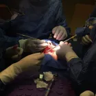 La imagen 3 de la Empresa CLÍNICA PRO DENTAL Salud y Medicina en Veracruz VER