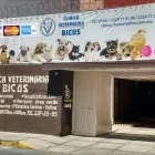 La imagen 4 de la Empresa CLINICA VETERINARIA BICUS Salud y Medicina en Puebla MEX