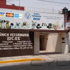 La imagen 17 de la Empresa CLINICA VETERINARIA BICUS Salud y Medicina en Puebla MEX
