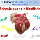 La imagen 3 de la Empresa CLÍNICA VETERINARIA BILLMAX Salud y Medicina en Ciudad De México CMX
