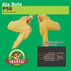 La imagen 7 de la Empresa COMERCIALIZADORA MARVA Elaboración y Venta de Carne en Tlaquepaque JAL