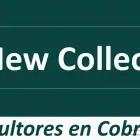 La imagen 2 de la Empresa CONSULTORES EN COBRANZA NEW COLLECT, S.C. Servicios Profesionales y de Negocios en Juriquilla QUE