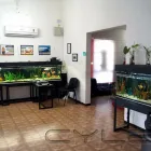 La imagen 3 de la Empresa CONSULTORIA PSICOLOGICA DAVENPORT Servicios Profesionales y de Negocios en Cadereyta Jiménez NLE