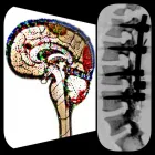 La imagen 4 de la Empresa CONSULTORIO PRIVADO NEUROCIRUGÍA URUAPAN Salud y Medicina en Uruapan MIC