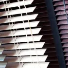La imagen 3 de la Empresa CORTINAS ECONÓMICAS Servicios Profesionales y de Negocios en Guadalajara JAL