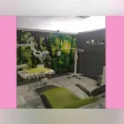 La imagen 2 de la Empresa DENTISTA MMD Salud y Medicina en Ciudad Juárez CHH