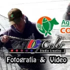 La imagen 6 de la Empresa DG COLOR STUDIO CREATIVO Servicios Profesionales y de Negocios en Guadalajara JAL