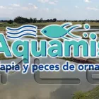 La imagen 7 de la Empresa DG COLOR STUDIO CREATIVO Servicios Profesionales y de Negocios en Guadalajara JAL