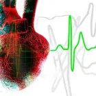 La imagen 1 de la Empresa DR.CESAR ALDUCIN CARDIOLOG Y ECOCARDIOG Salud y Medicina en San Francisco De Campeche CAM