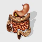 La imagen 3 de la Empresa DR. GONZALO ARÉVALO ARAUJO Salud y Medicina en Tepic NAY