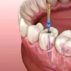 La imagen 3 de la Empresa DR JORGE PEÑA RIVERA Salud y Medicina en Parral CHH
