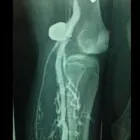 La imagen 1 de la Empresa DR. JUAN CARLOS MORALES URBINA Salud y Medicina en Mexico CMX