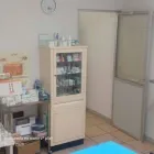La imagen 2 de la Empresa DRA. MA ELENA ORTEGA DE LEÓN DE GUEVARA Salud y Medicina en Ciudad De México CMX
