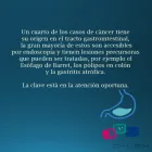 La imagen 9 de la Empresa DRA. NALLELY CASTAÑEDA Salud y Medicina en Guadalajara JAL