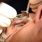 La imagen 3 de la Empresa DRA VIRGINIA RUIZ QUIÑONES Salud y Medicina en Niños Héroes CHH