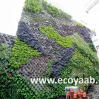 La imagen 2 de la Empresa ECOYAAB JARDINES VERTICALES Servicios Profesionales y de Negocios en Ciudad De México CMX