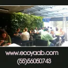 La imagen 3 de la Empresa ECOYAAB JARDINES VERTICALES Servicios Profesionales y de Negocios en Ciudad De México CMX