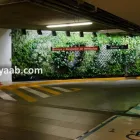 La imagen 9 de la Empresa ECOYAAB JARDINES VERTICALES Servicios Profesionales y de Negocios en Ciudad De México CMX