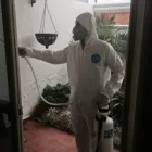 La imagen 2 de la Empresa EFI FUMIGACIONES en Zapopan JAL