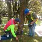 La imagen 1 de la Empresa ELECTRICISTAS EN ZAPOPAN Servicios Profesionales y de Negocios en Zapopan JAL