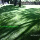 La imagen 5 de la Empresa ESPACIOS VERDES JARDINERÍA Y VIVERO Industrias y Agricultura en Toluca MEX