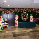 La imagen 4 de la Empresa EVENTOS DE FIESTA Video y Sonido Profesional en Veracruz VER