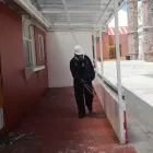 La imagen 2 de la Empresa EXTER MAX CONTROL DE PLAGAS Servicios Profesionales y de Negocios en Pachuca De Soto HID