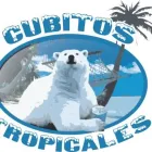 La imagen 1 de la Empresa FABRICA DE HIELOS CUBITOS TROPICALES en Zapopan JAL