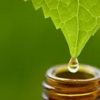 La imagen 2 de la Empresa FARMACIA HOMEOPÁTICA DEL SAGRADO CORAZÓN Salud y Medicina en Tepic NAY