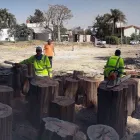 La imagen 2 de la Empresa FLAMINGO Servicios Profesionales y de Negocios en Guadalajara JAL
