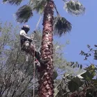 La imagen 3 de la Empresa FLAMINGO Servicios Profesionales y de Negocios en Guadalajara JAL