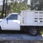 La imagen 1 de la Empresa FLETES TEPIC CARGA LIVIANA Transportes y Turismo en Tepic NAY