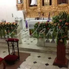 La imagen 5 de la Empresa FLORERÍA HELEN en San Francisco De Campeche CAM